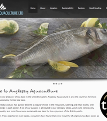 Anglesey Sea Bass Website Design