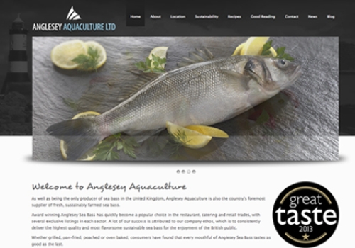 Anglesey Sea Bass Website Design