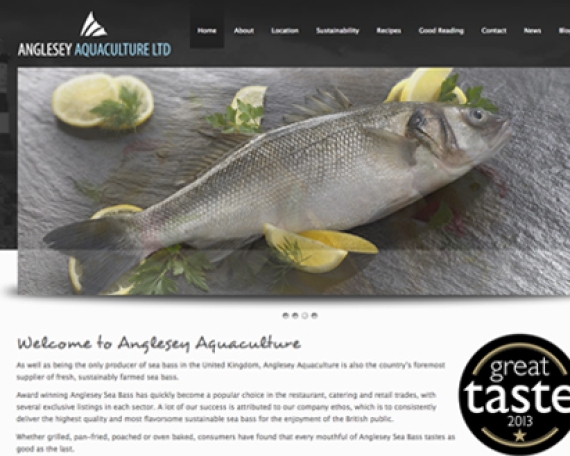 Anglesey Sea Bass Website Design